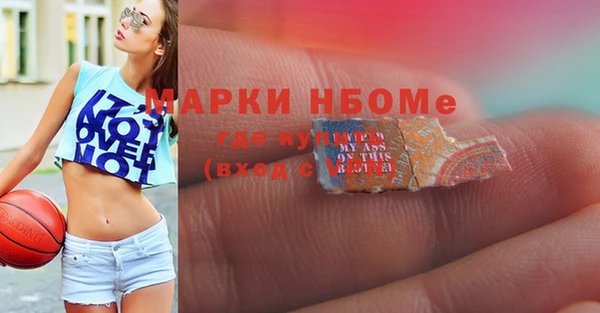 крисы Абаза
