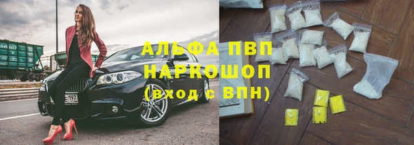 крисы Абаза