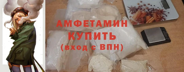 крисы Абаза