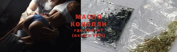 крисы Абаза
