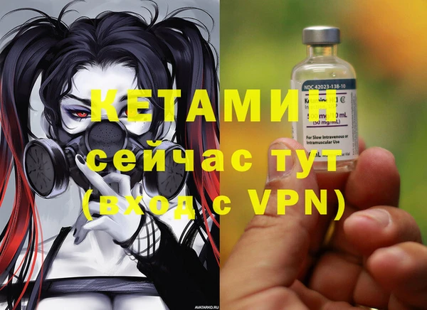 крисы Абаза