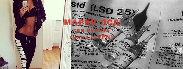 крисы Абаза