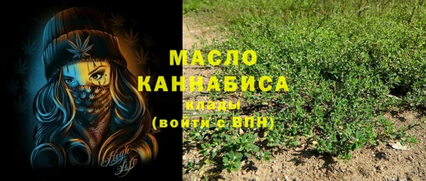 крисы Абаза