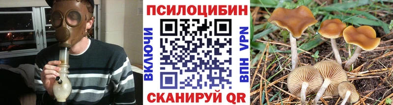 kraken рабочий сайт  Зеленокумск  Галлюциногенные грибы мухоморы 