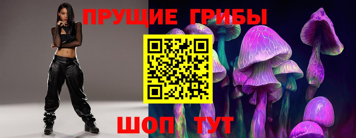 Зеленокумск  Псилоцибиновые грибы Psilocybe  Вход с VPN 